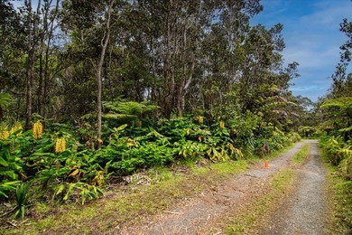 Tucked away in Volcano Village, this property is quiet, serene - photo 8