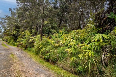 Tucked away in Volcano Village, this property is quiet, serene - photo 9