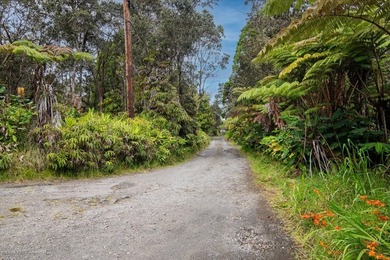 Tucked away in Volcano Village, this property is quiet, serene - photo 10