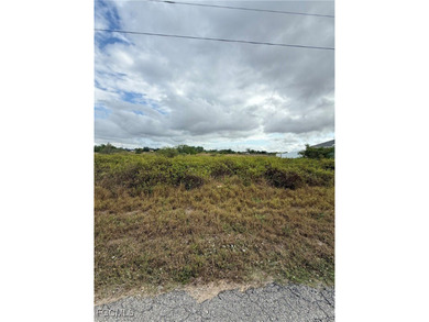 Lehigh Acres Area Lot For Sale in Lehigh Acres Florida