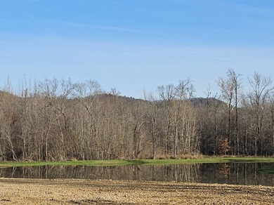 (private lake, pond, creek) Acreage For Sale in Tuskahoma Oklahoma