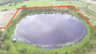 (private lake, pond, creek) Home For Sale in Bartow Florida