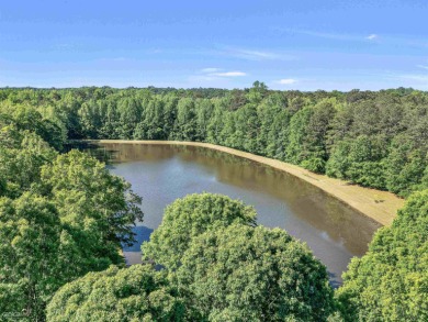 (private lake, pond, creek) Acreage For Sale in Hampton Georgia