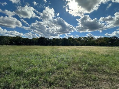 Additional listing photo 1