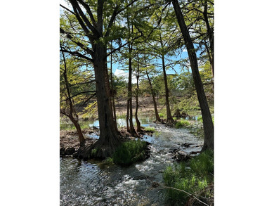 Discover the perfect blend of natural beauty and peaceful living - photo 7