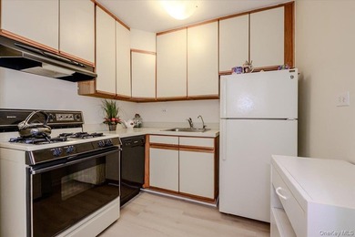 Welcome to Unit 9-L at 172-70 Highland Avenue, a well-maintained - photo 7