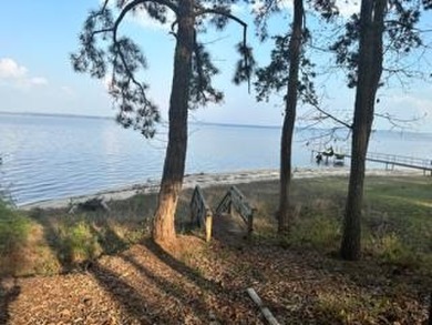 Lake Eufaula / Walter F George Reservoir Home For Sale in Abbeville Alabama