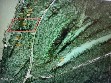 6 Acres on the Mississippi River and Jackson Point Road - photo 4