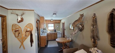 Tucked away on 60+ beautiful acres, this single-level 3-bedroom - photo 14