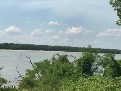 6 Acres on the Mississippi River and Jackson Point Road - photo 6