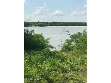 6 Acres on the Mississippi River and Jackson Point Road - photo 7