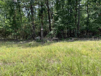 Lake Lot For Sale in Greers Ferry, Arkansas