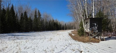 Tucked away on 60+ beautiful acres, this single-level 3-bedroom - photo 36