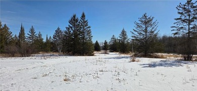 Tucked away on 60+ beautiful acres, this single-level 3-bedroom - photo 37