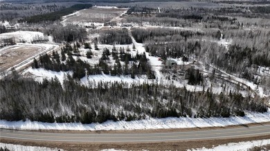 Tucked away on 60+ beautiful acres, this single-level 3-bedroom - photo 43
