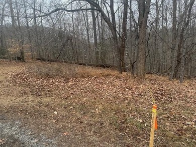 Smith Mountain Lake Lot For Sale in Goodview Virginia
