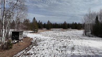 Tucked away on 60+ beautiful acres, this single-level 3-bedroom - photo 54