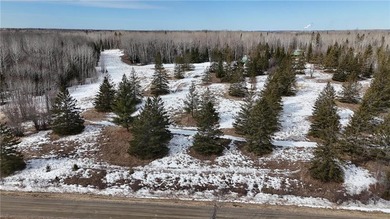 Tucked away on 60+ beautiful acres, this single-level 3-bedroom - photo 55