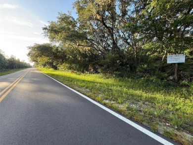 Lake Lot For Sale in Florahome, Florida