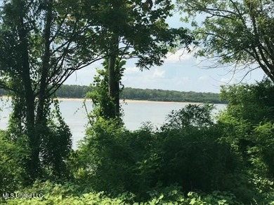 This beautiful land fronts the Mississippi River and Jackson - photo 7