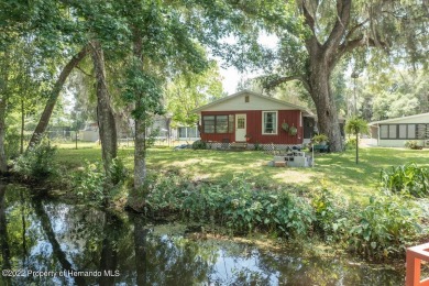 Withlacoochee River - Hernando County Home For Sale in Floral City Florida