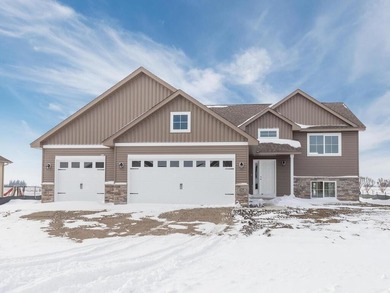 Brand Lake  Home Sale Pending in Norwood Young America Minnesota