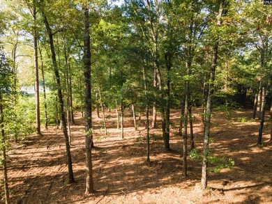 All of this beauty and a price improvement! Discover a hidden - photo 2