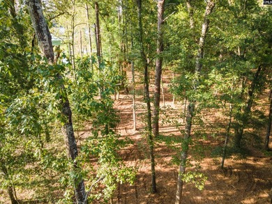 All of this beauty and a price improvement! Discover a hidden - photo 5