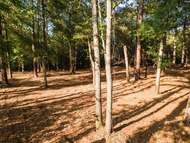 All of this beauty and a price improvement! Discover a hidden - photo 7