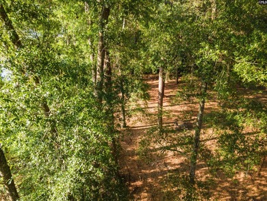 All of this beauty and a price improvement! Discover a hidden - photo 8