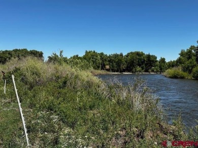 Lake Lot For Sale in South Fork, Colorado