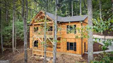 Lake Home For Sale in Ellijay, Georgia