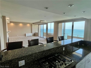 Rare opportunity to own a completely renovated Penthouse unit in - photo 8