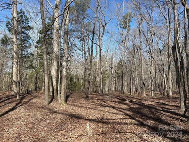 (private lake, pond, coastal) Acreage Active Under Contract in Indian Land South Carolina
