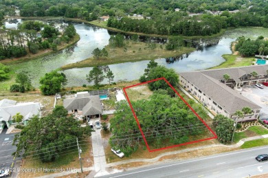 Greenbriar Lake Commercial For Sale in Spring Hill Florida