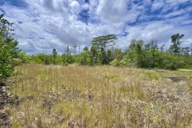 Previously partially ripped and leveled, this vacant corner lot - photo 4