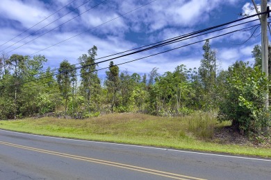 Previously partially ripped and leveled, this vacant corner lot - photo 8