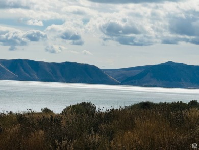 Lake Lot For Sale in Fish Haven, Idaho