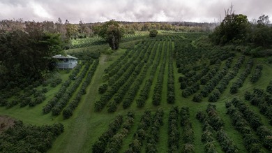 Kona Rainforest Coffee Farm is truly one of a kind, a fully - photo 1