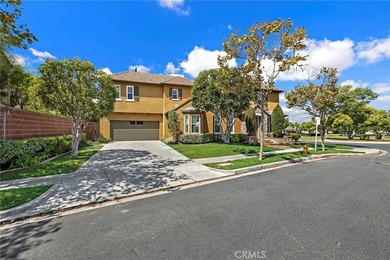 Welcome to 63 Tuberose-a stunning Canopy Lane Plan 4 home - photo 41