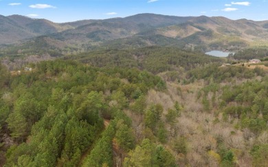 Campbell Cove Lake Acreage Sale Pending in Turtletown Tennessee