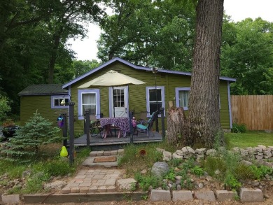 Maston Lake Home For Sale in Sand Lake Michigan