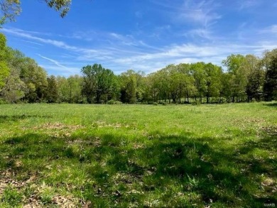 (private lake, pond, creek) Acreage For Sale in Dittmer Missouri