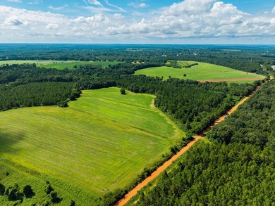 (private lake, pond, creek) Acreage For Sale in Richland Georgia