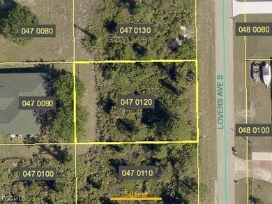 Lehigh Acres Area Lot For Sale in Lehigh Acres Florida