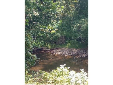 Lake Lot For Sale in Volant, Pennsylvania