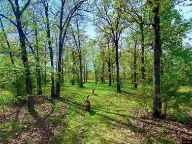 LITTLE PIECE OF HEAVEN. 51 ACRES M/L of grass & pasture land for - Lake Acreage For Sale in Clarkridge, Arkansas