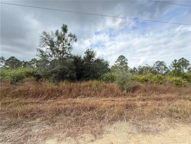 Lehigh Acres Area Lot For Sale in Lehigh Acres Florida