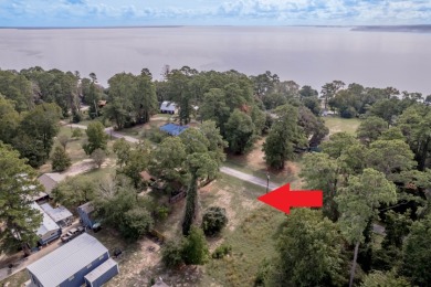 Lake Lot For Sale in Point Blank, Texas