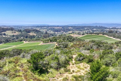 Offered for the first time in its history, this extraordinary 38 - photo 16